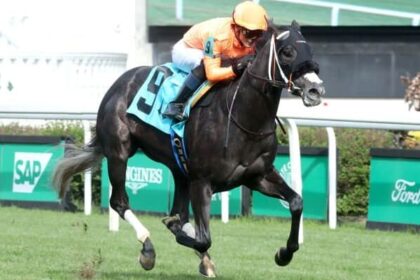 Shisospicy sets stakes records in Mamzelle