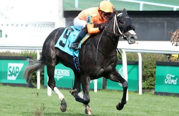Shisospicy sets stakes records in Mamzelle