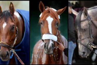 Slideshow: Learn candidates for the 150th edition of the Preakness Stakes