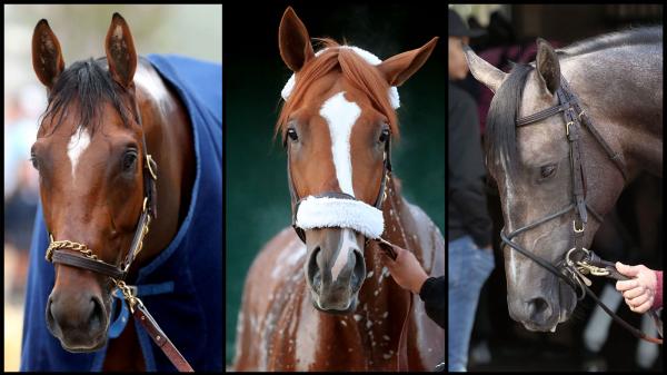 Slideshow: Learn candidates for the 150th edition of the Preakness Stakes