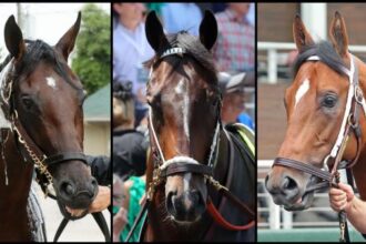 Slideshow: Meet candidates for the 2025 Belmont Stakes