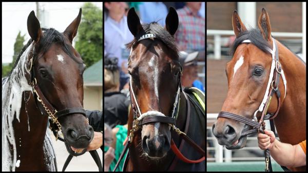 Slideshow: Meet candidates for the 2025 Belmont Stakes