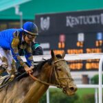 Sovereignty trains towards the Belmont stakes