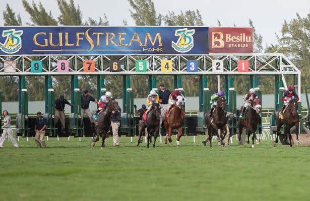 Squire has experience in Royal Ascot Qualifying