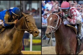 The Belmont Stakes are a rematch between sovereignty and journalism