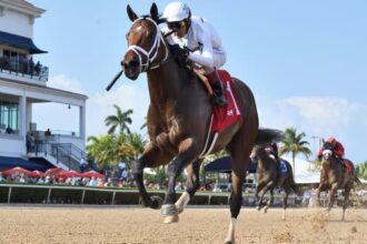 The patience of the owner, trainer hopes to be rewarded for the Thames River in Preakness