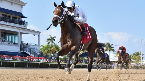 The patience of the owner, trainer hopes to be rewarded for the Thames River in Preakness