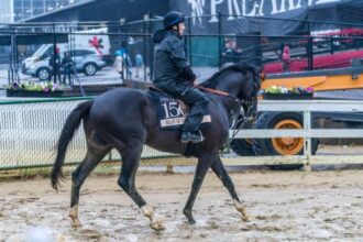 The team behind Heart of Honor is excited to "shot it" in Preakness