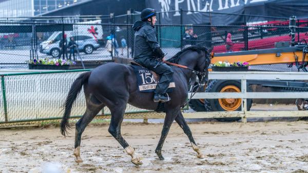 The team behind Heart of Honor is excited to "shot it" in Preakness