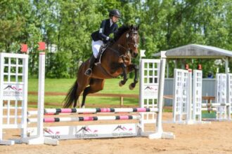 Thoroughbred Transformation Diary: A great way to start a second career!