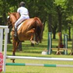 Thoroughbred Transformation Diary: Salesman Shows Talent in Horse Trials