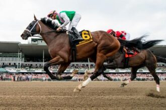 Tips and trends to help you win big at the 2025 Monmouth Park tournament