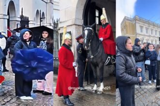 Scenes from a London street with a King