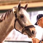 Trainer Mark Kass isn't worried about a quick prequeness turnaround with Sandman