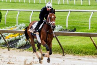 Trainer McCarthy is extremely confident that journalism will enter Preakness