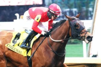 Two sharp looks resume streaks in victory colors