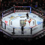 UFC Octagon Live
