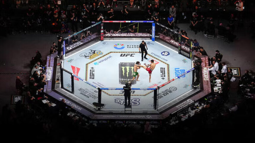 UFC Octagon Live