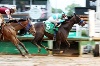 Undefeated goal to target Preakness, Journalism is still under consideration