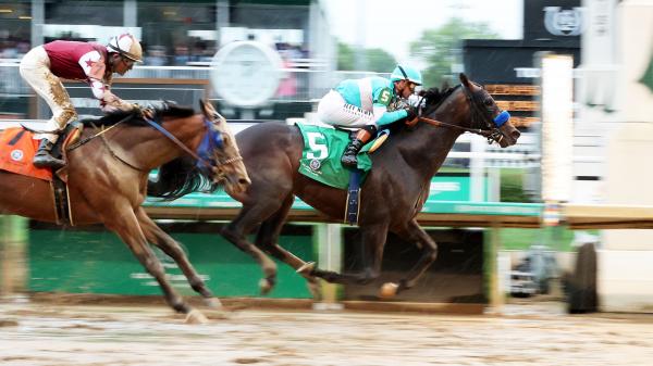 Undefeated goal to target Preakness, Journalism is still under consideration
