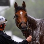 Veteran Grass Writer Choose Preakness Superfector for 2025