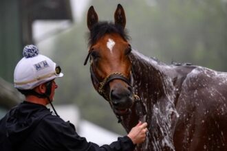 Veteran Grass Writer Choose Preakness Superfector for 2025