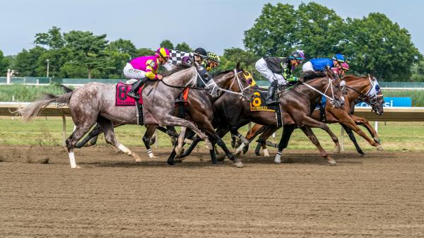 Where to watch: Horse Racing Report May 8th-11th
