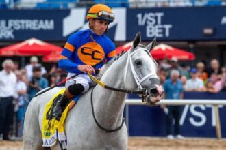White Abarrio leads 11 staged winners