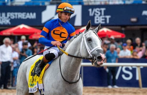 White Abarrio leads 11 staged winners