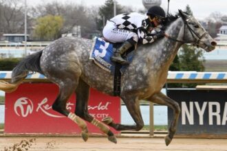 Why is Sterling Silver ready to shine in the Raffian Stakes?