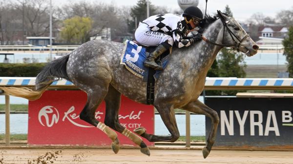 Why is Sterling Silver ready to shine in the Raffian Stakes?