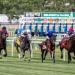 Will Supersonic Blue win the Paradise Creek Stakes three times in a row?