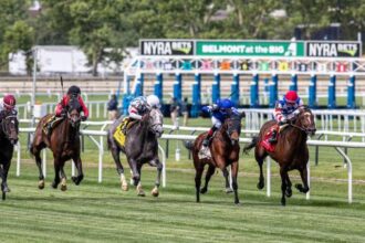Will Supersonic Blue win the Paradise Creek Stakes three times in a row?
