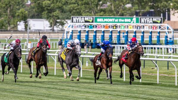 Will Supersonic Blue win the Paradise Creek Stakes three times in a row?