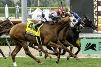 Win Shoemaker Mile Crown to win a ferocious rally to unleash King of Gosford