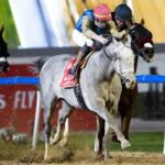10 Fun Facts About the 2025 Breeders' Cup Challenge Series