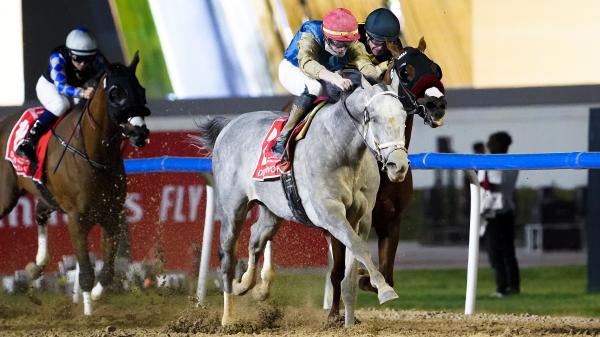10 Fun Facts About the 2025 Breeders' Cup Challenge Series