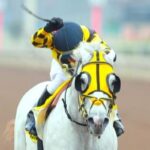 2020 Kentucky Derby Runner Enforceable Peru Execute Group 1
