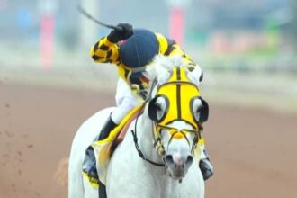 2020 Kentucky Derby Runner Enforceable Peru Execute Group 1