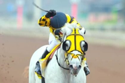 2020 Kentucky Derby Runner Enforceable Peru Execute Group 1