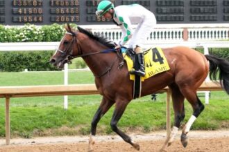 2024 Kentucky Derby winner Mystik Dan thrived in 4, with more people appearing