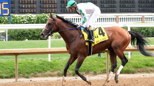2024 Kentucky Derby winner Mystik Dan thrived in 4, with more people appearing