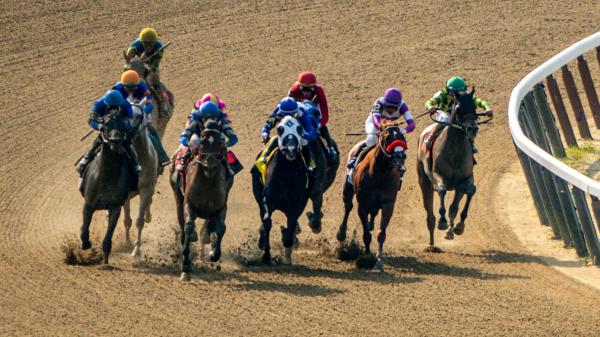 2025 Metropolitan Handicap at a glance