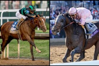 2025 Stephen Foster Stakes Cheat Sheet