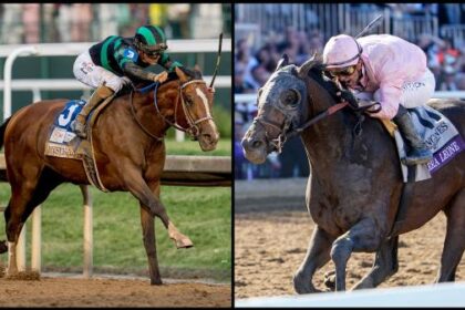 2025 Stephen Foster Stakes Cheat Sheet
