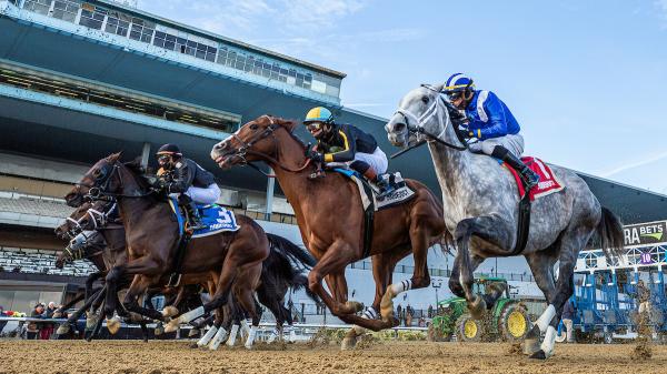 ABR Sunday Selection: June 22nd Full Card Picks from Big A's Belmont