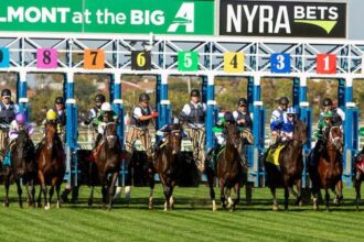 ABR Sunday Selection: June 29th Full Card Picks from Big A's Belmont