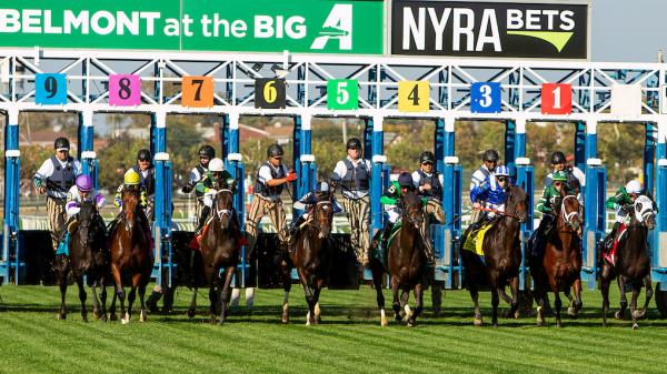 ABR Sunday Selection: June 29th Full Card Picks from Big A's Belmont