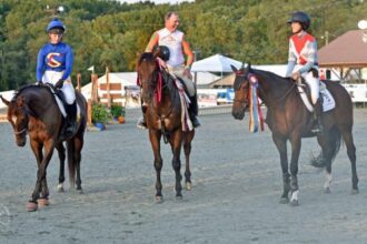 Aftercare at the forefront of expanding Real Rider Cup, a two-part event that begins Saturday in Lexington
