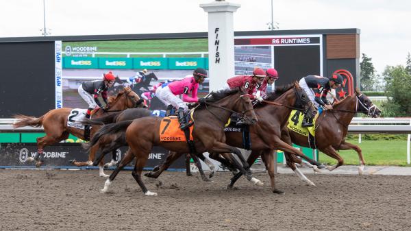 Andrew Champagne's Woodbine Canada Day Racing Festival Top Play
